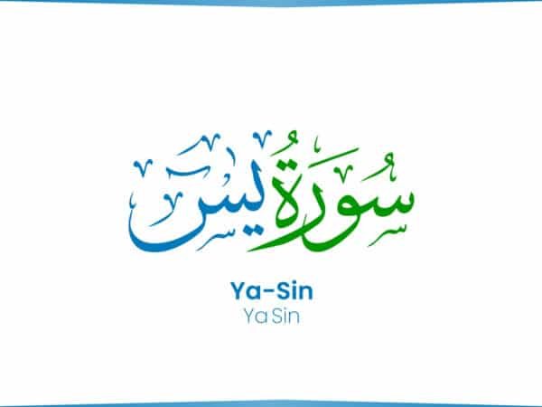 What Are The Benefits Of Reciting Surah Yaseen?